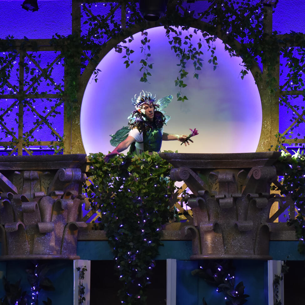 Midsummer Night&#39;s Dream